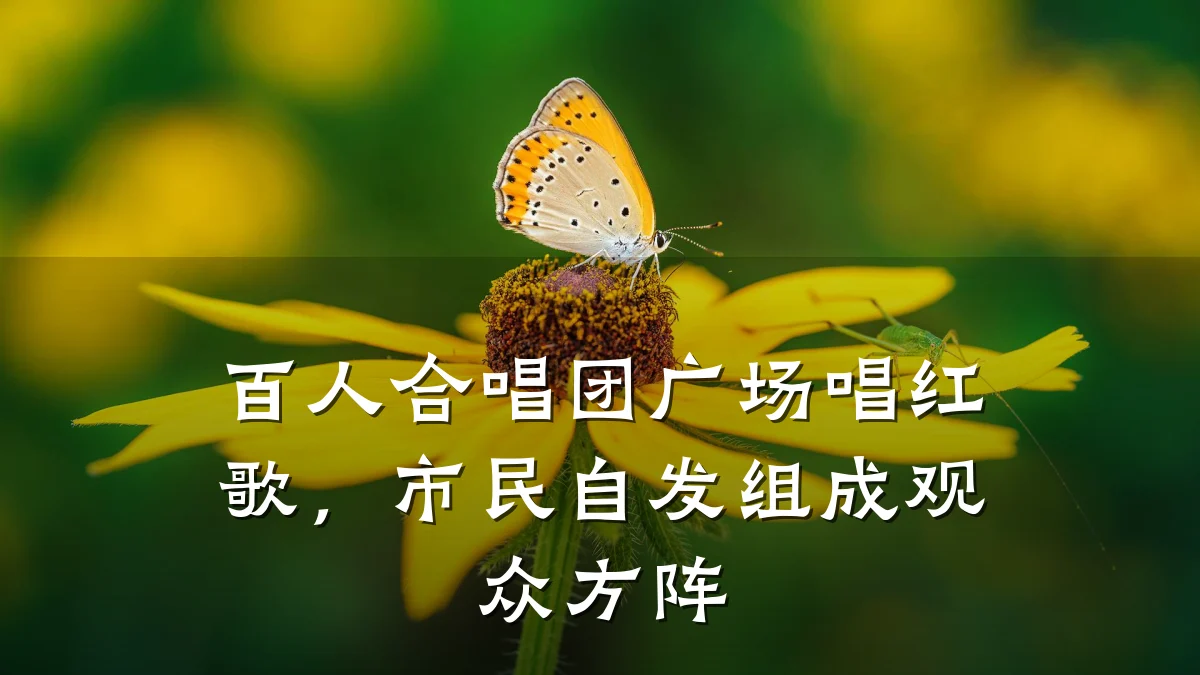 百人合唱团广场唱红歌，市民自发组成观众方阵
