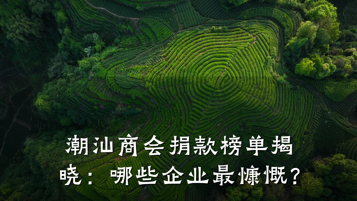潮汕商会捐款榜单揭晓:哪些企业最慷慨?