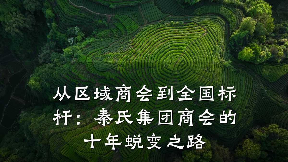 从区域商会到全国标杆:秦氏集团商会的十年蜕变之路