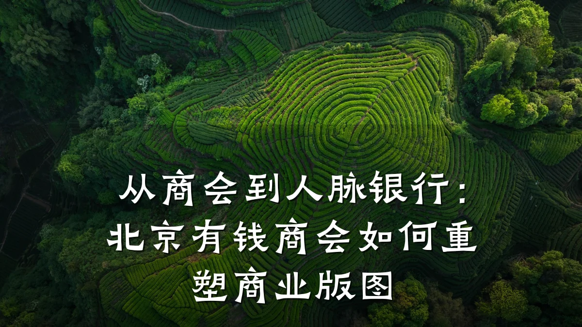 从商会到人脉银行:北京有钱商会如何重塑商业版图