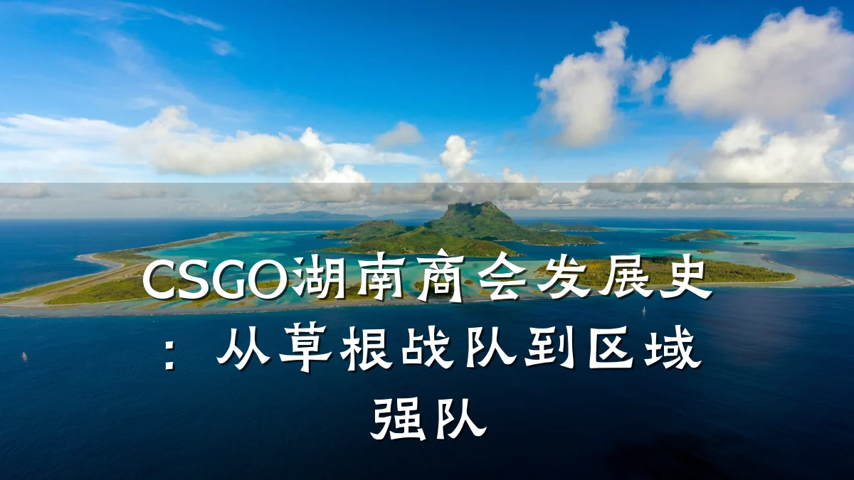 CSGO湖南商会发展史:从草根战队到区域强队