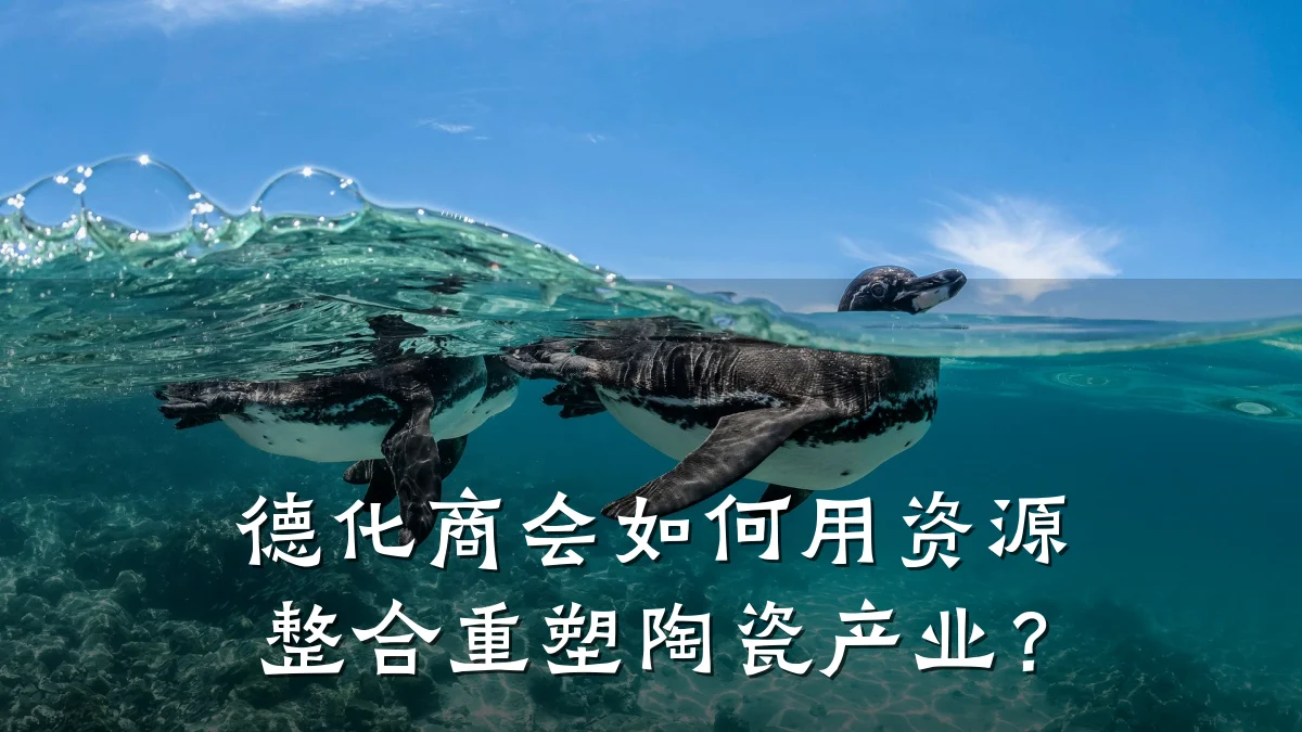 德化商会如何用资源整合重塑陶瓷产业？