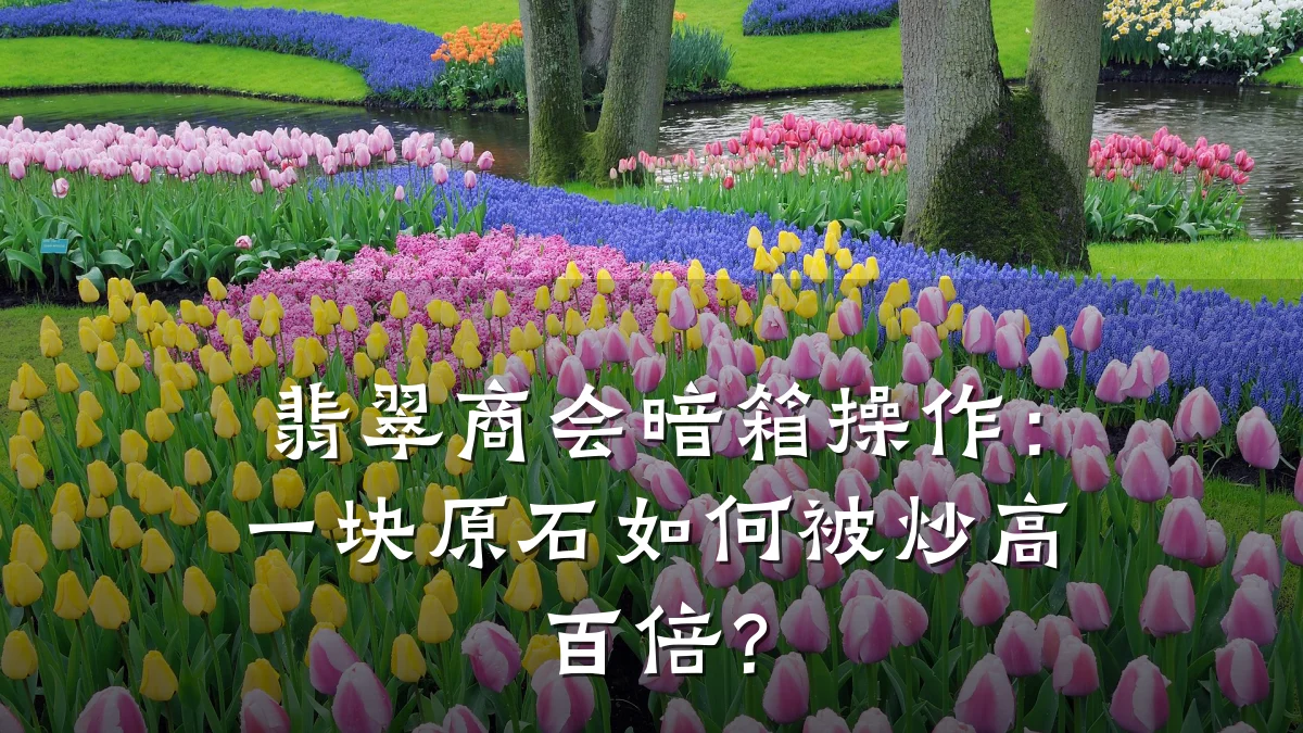 翡翠商会暗箱操作:一块原石如何被炒高百倍?