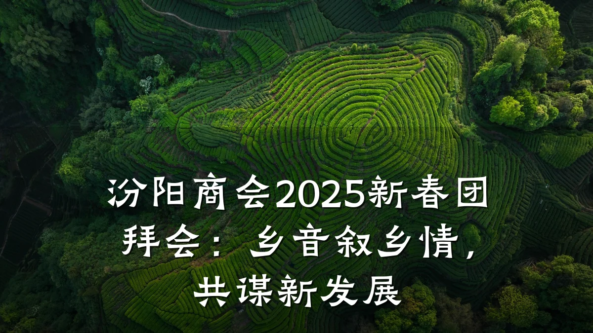 汾阳商会2025新春团拜会：乡音叙乡情，共谋新发展