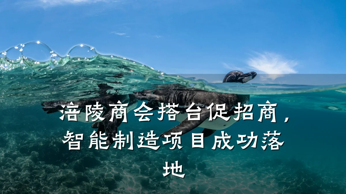 涪陵商会搭台促招商,智能制造项目成功落地
