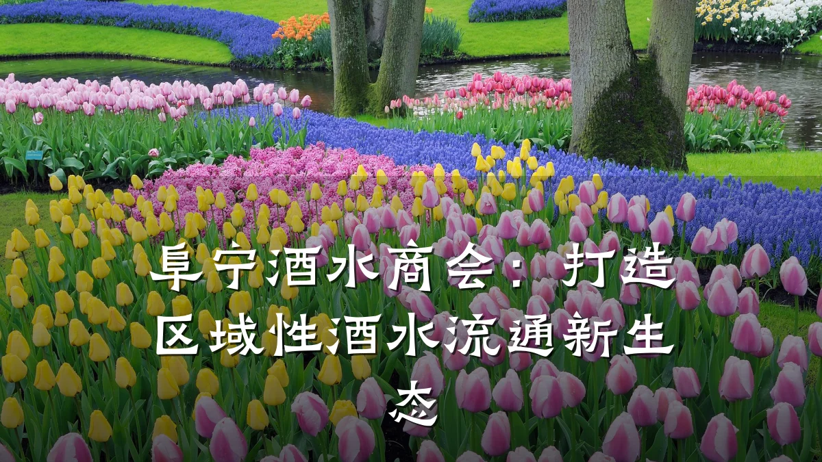 阜宁酒水商会:打造区域性酒水流通新生态