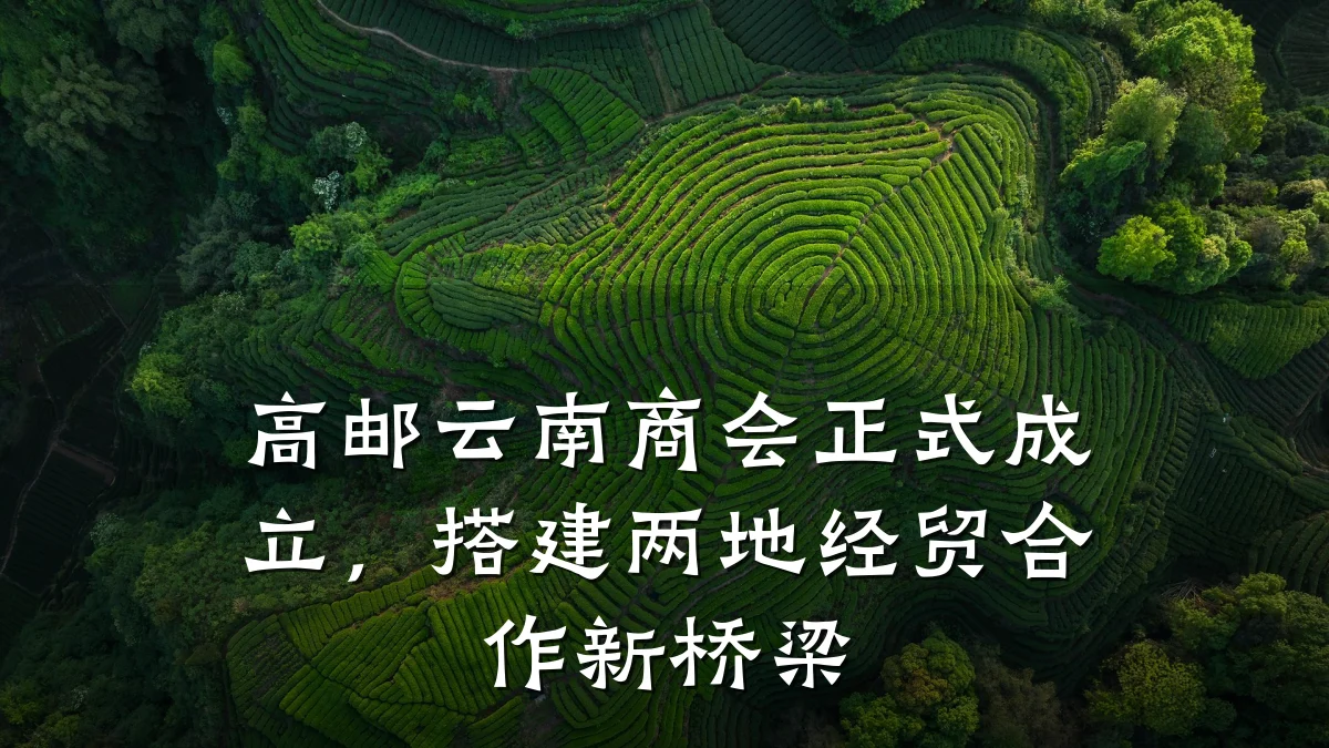 高邮云南商会正式成立,搭建两地经贸合作新桥梁