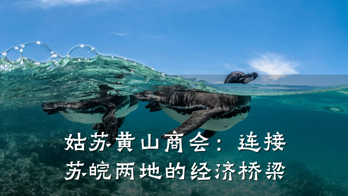 姑苏黄山商会：连接苏皖两地的经济桥梁