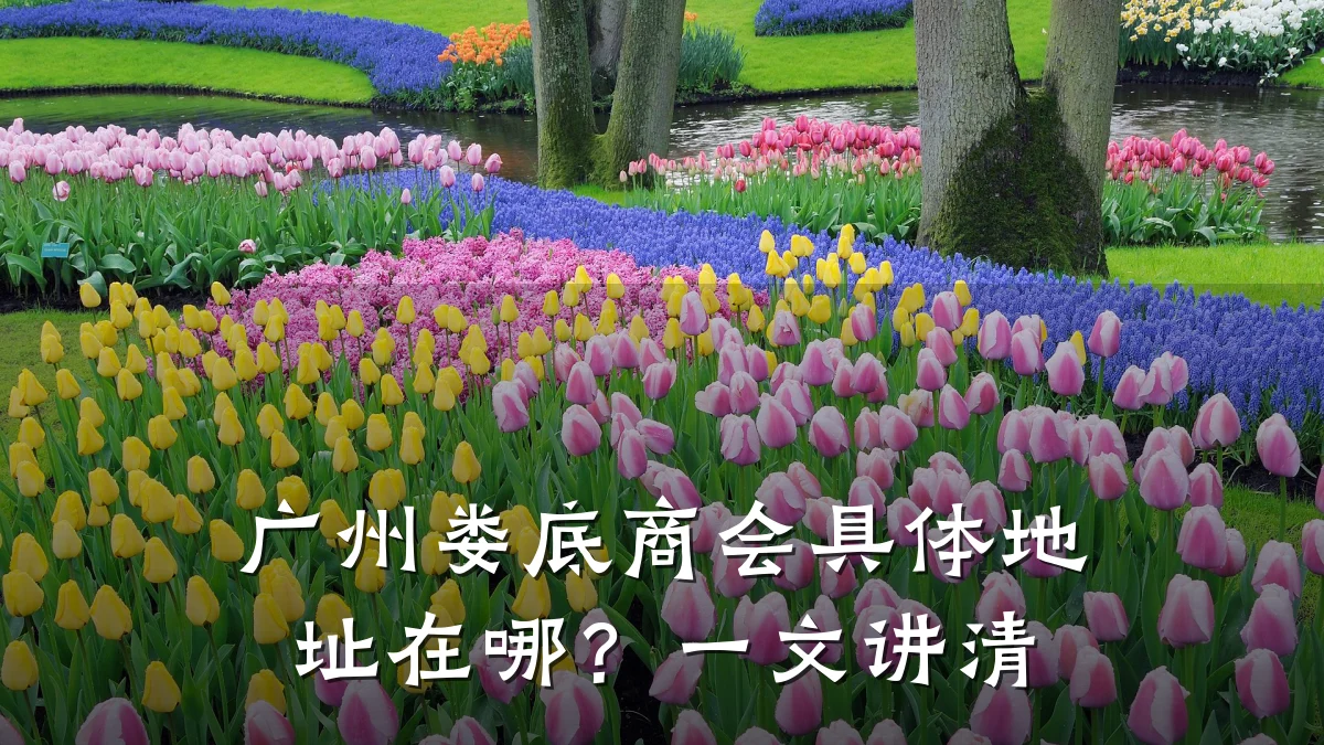 广州娄底商会具体地址在哪?一文讲清