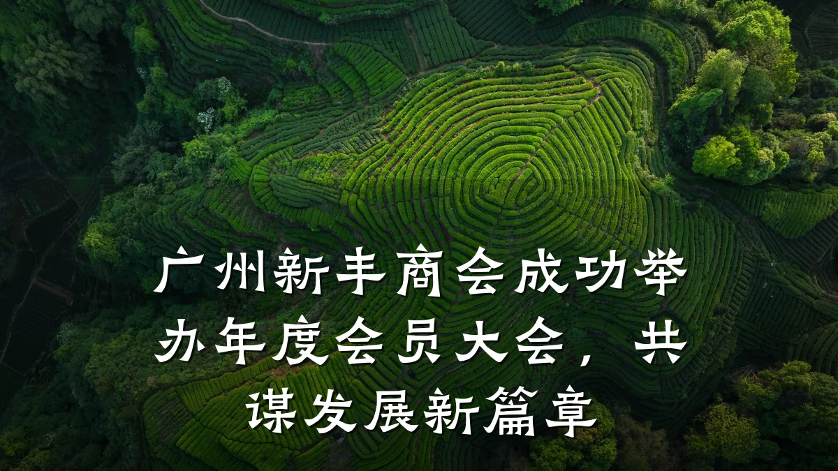 广州新丰商会成功举办年度会员大会,共谋发展新篇章