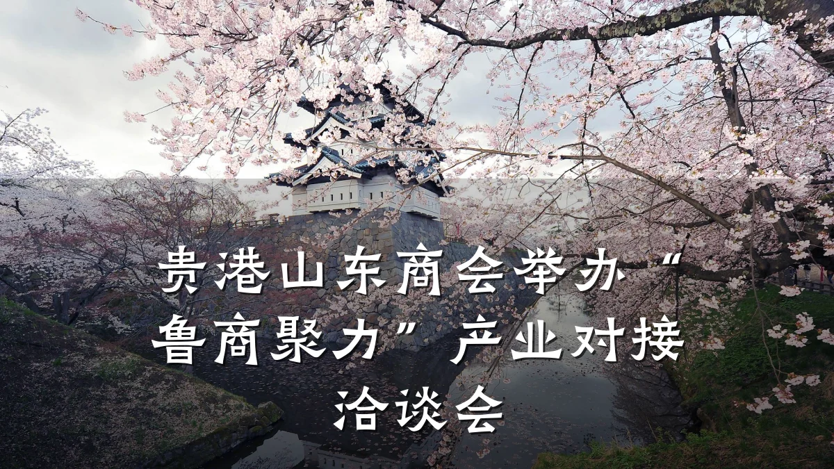 贵港山东商会举办“鲁商聚力”产业对接洽谈会