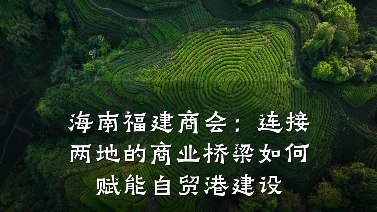 海南福建商会:连接两地的商业桥梁如何赋能自贸港建设
