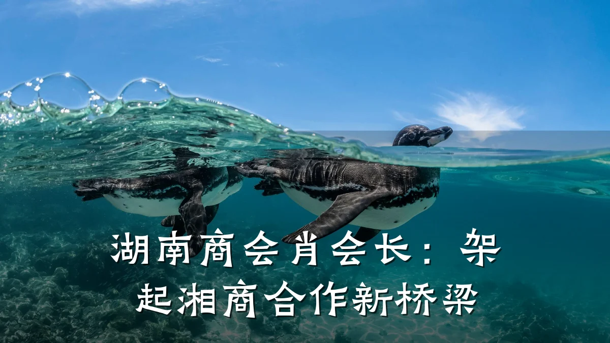 湖南商会肖会长：架起湘商合作新桥梁