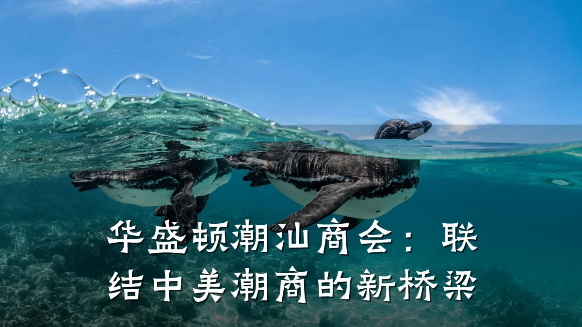 华盛顿潮汕商会：联结中美潮商的新桥梁