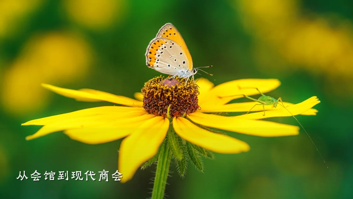 从会馆到现代商会