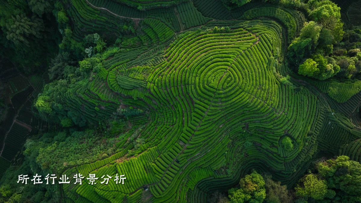 所在行业背景分析