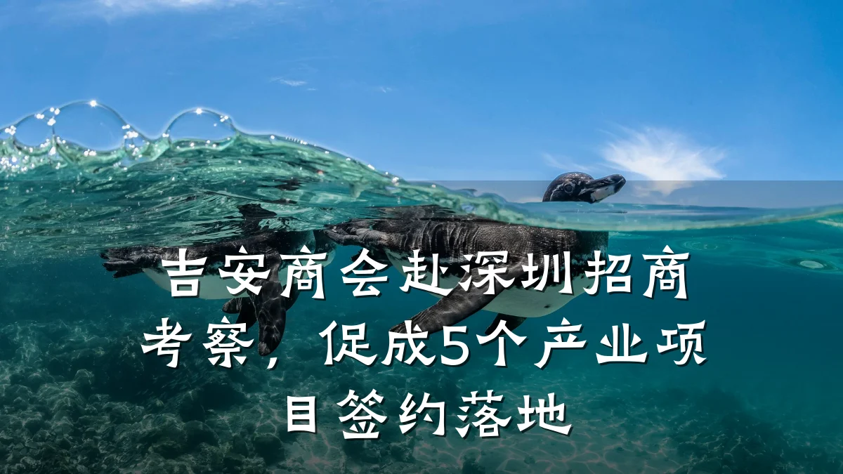 吉安商会赴深圳招商考察,促成5个产业项目签约落地