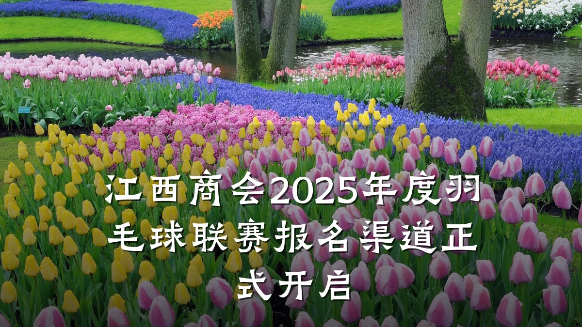 江西商会2025年度羽毛球联赛报名渠道正式开启