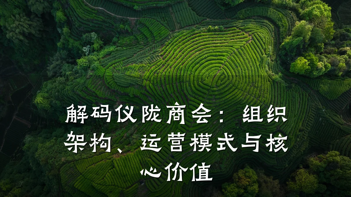 解码仪陇商会：组织架构、运营模式与核心价值