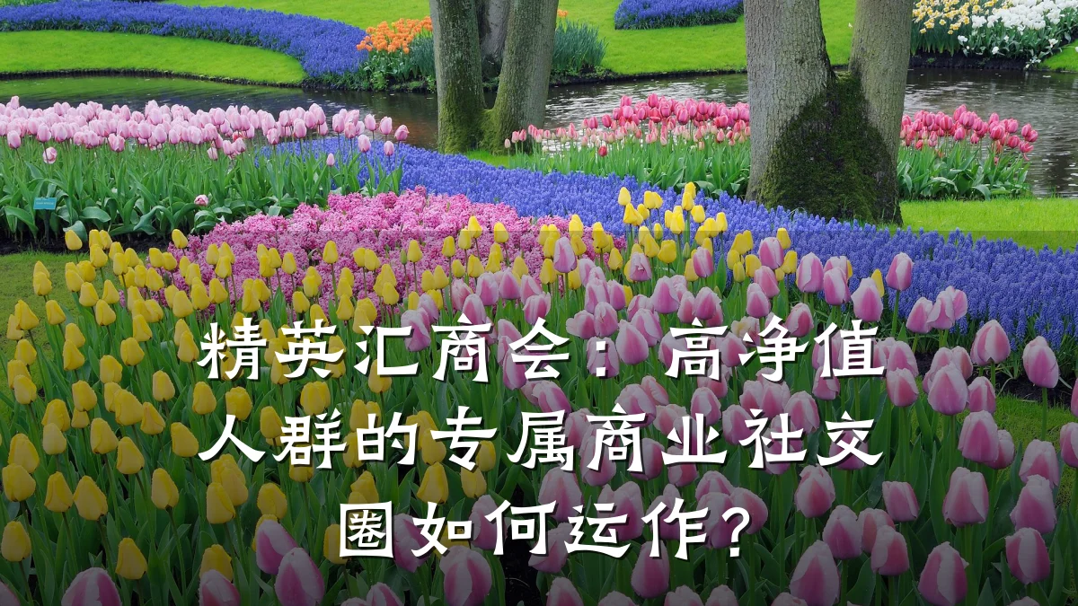 精英汇商会:高净值人群的专属商业社交圈如何运作?