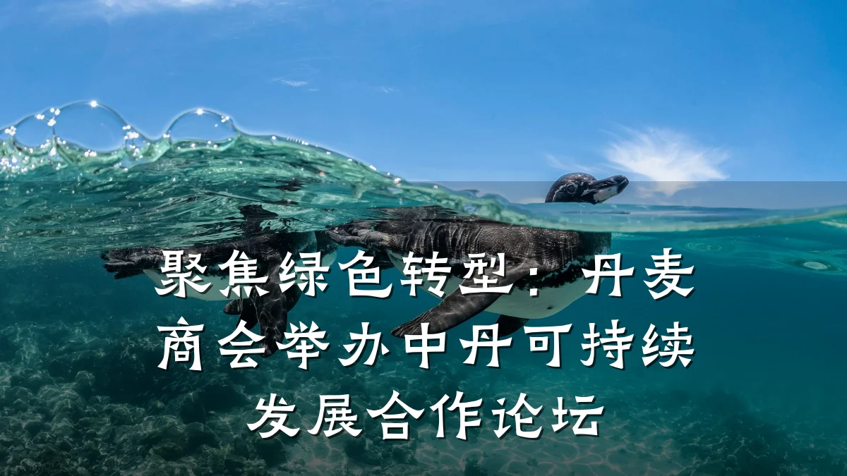聚焦绿色转型：丹麦商会举办中丹可持续发展合作论坛