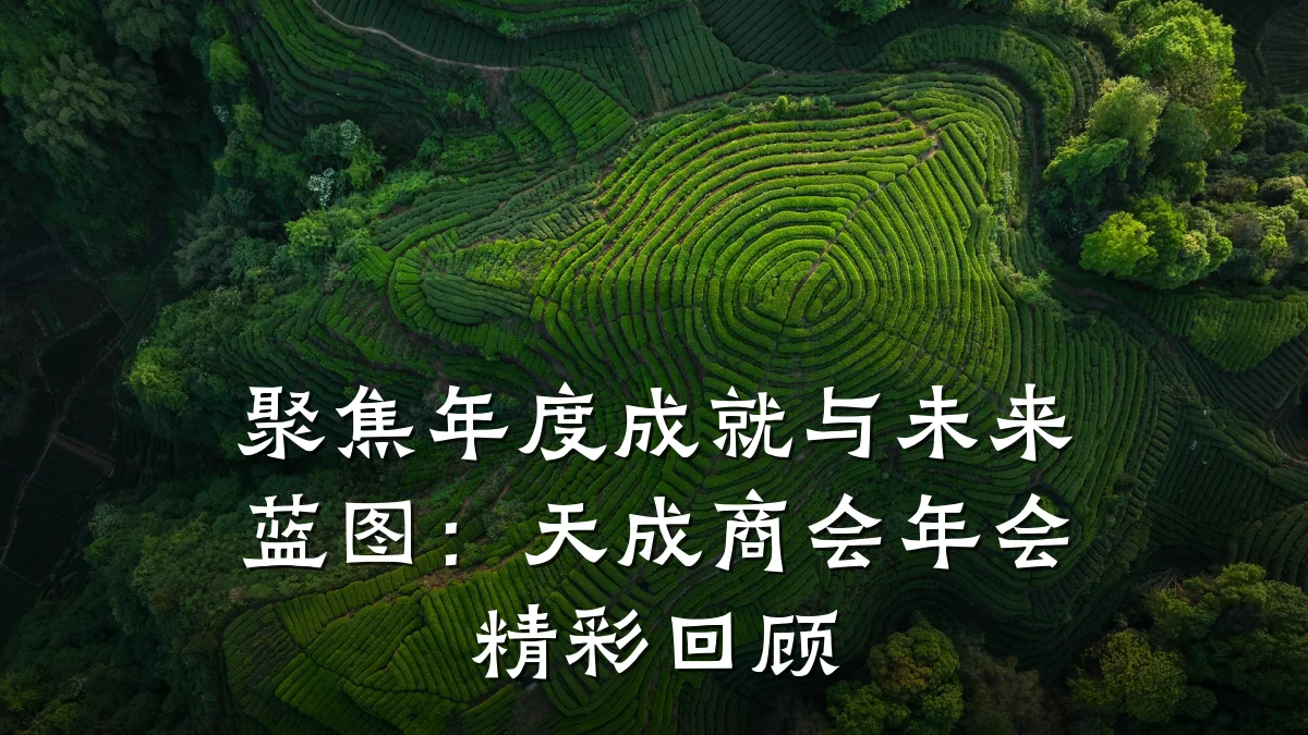 聚焦年度成就与未来蓝图:天成商会年会精彩回顾