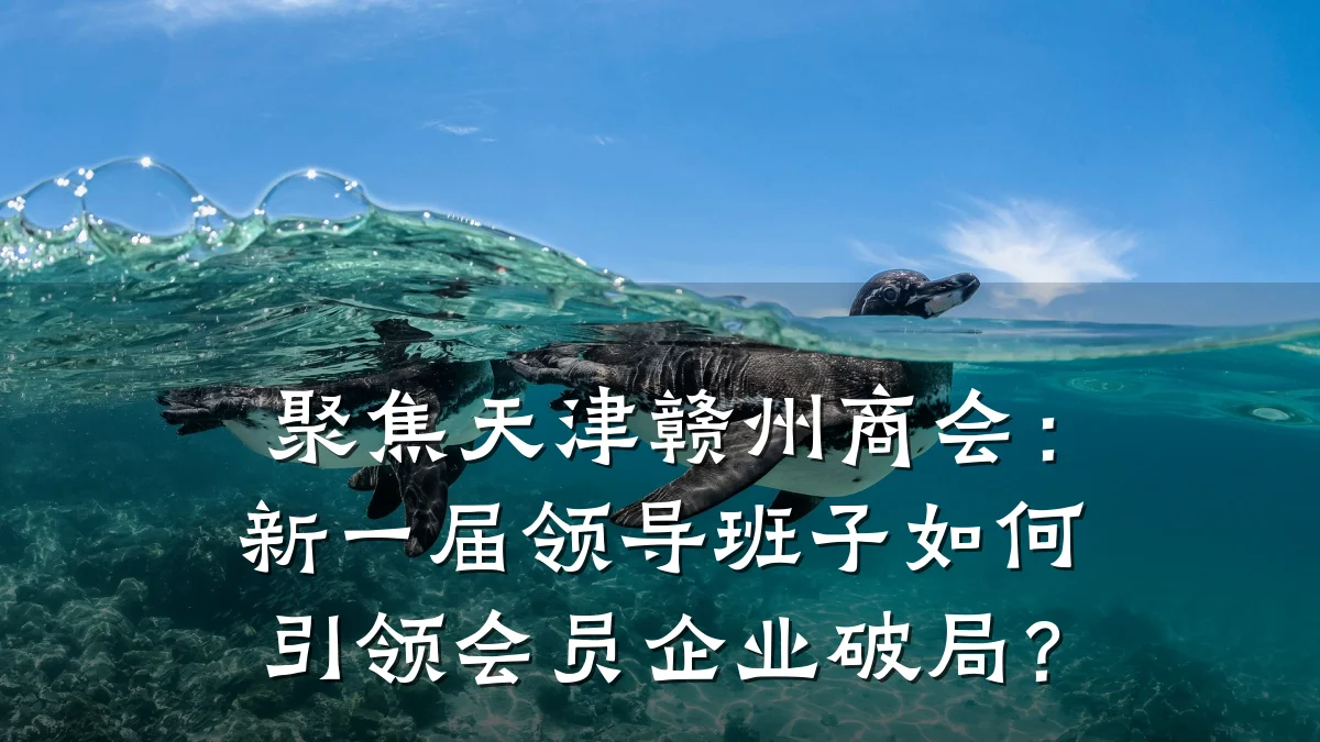 聚焦天津赣州商会:新一届领导班子如何引领会员企业破局?