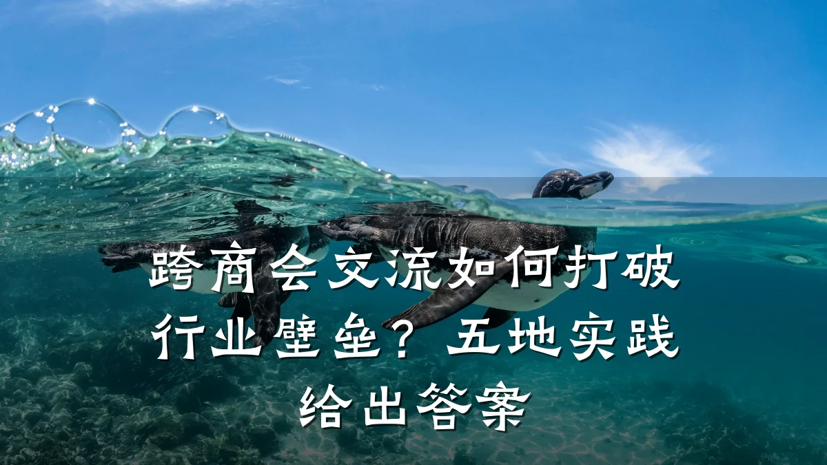 跨商会交流如何打破行业壁垒?五地实践给出答案