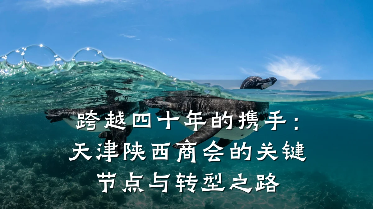 跨越四十年的携手:天津陕西商会的关键节点与转型之路