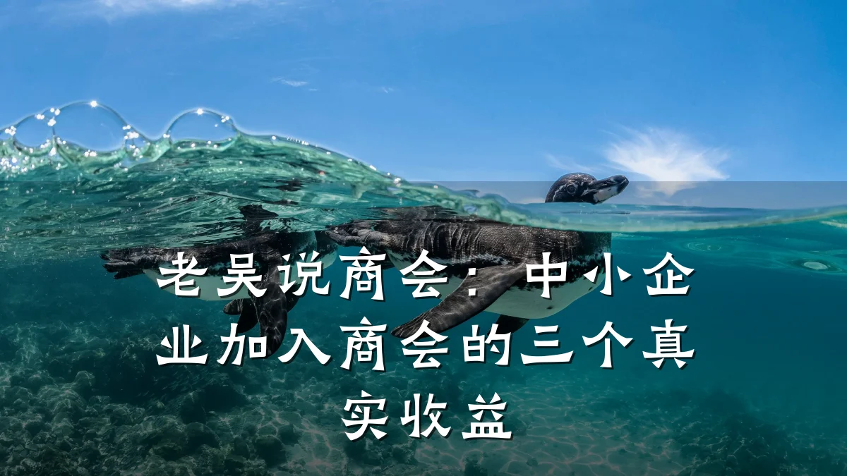 老吴说商会:中小企业加入商会的三个真实收益