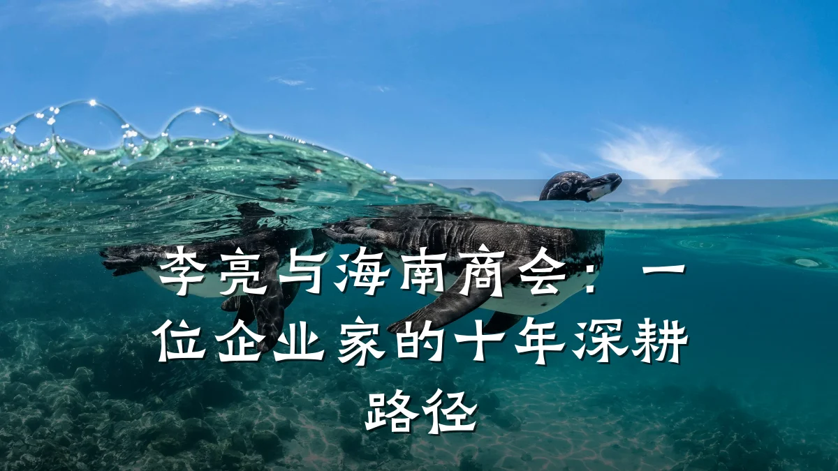 李亮与海南商会:一位企业家的十年深耕路径