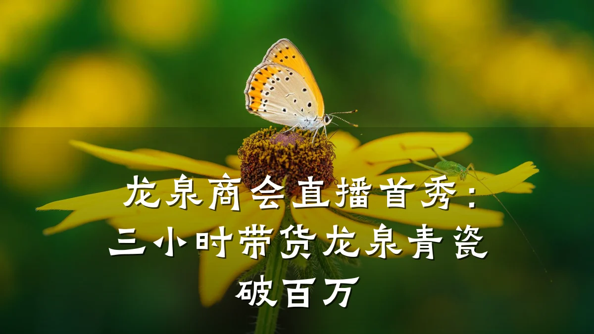 龙泉商会直播首秀：三小时带货龙泉青瓷破百万