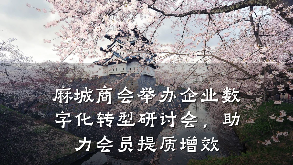 麻城商会举办企业数字化转型研讨会,助力会员提质增效