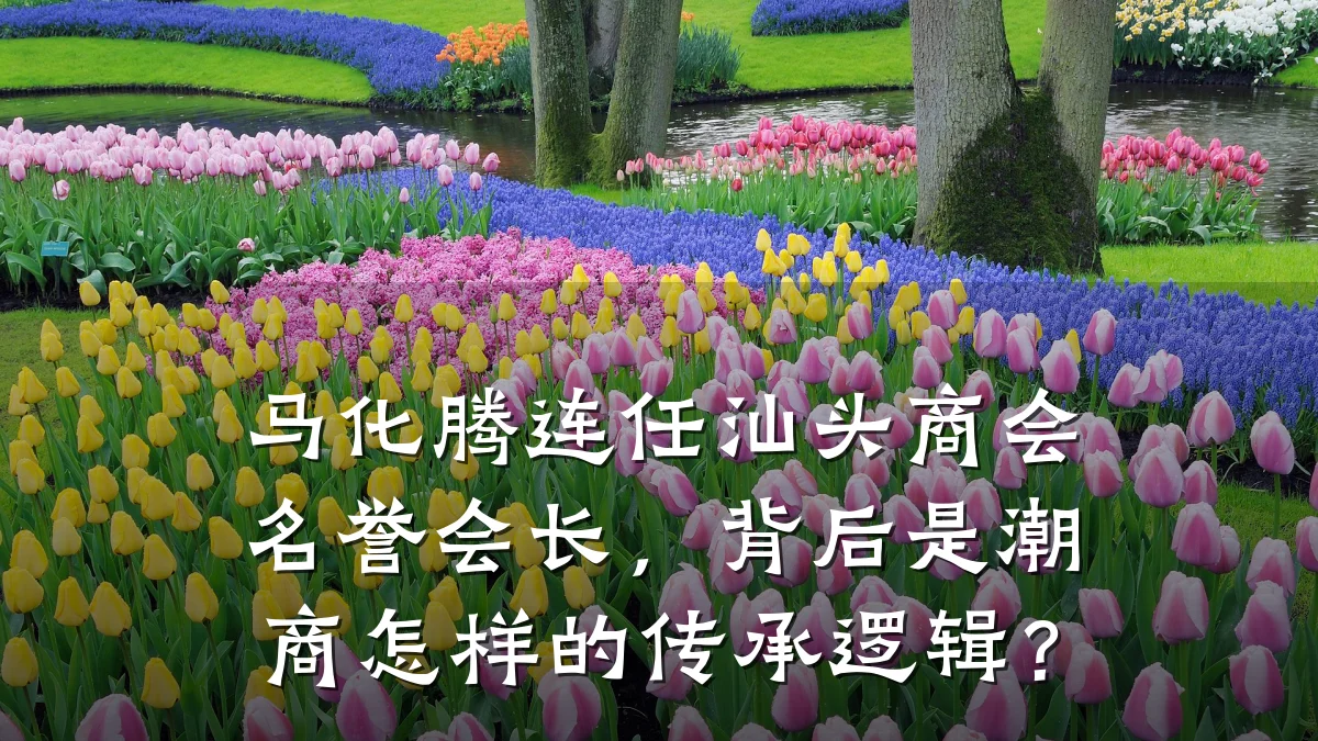 马化腾连任汕头商会名誉会长,背后是潮商怎样的传承逻辑?