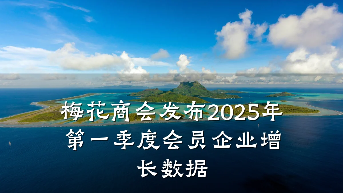 梅花商会发布2025年第一季度会员企业增长数据