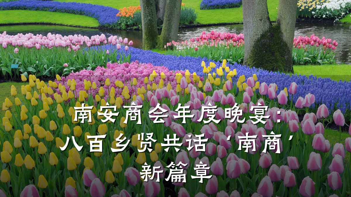 南安商会年度晚宴:八百乡贤共话‘南商’新篇章