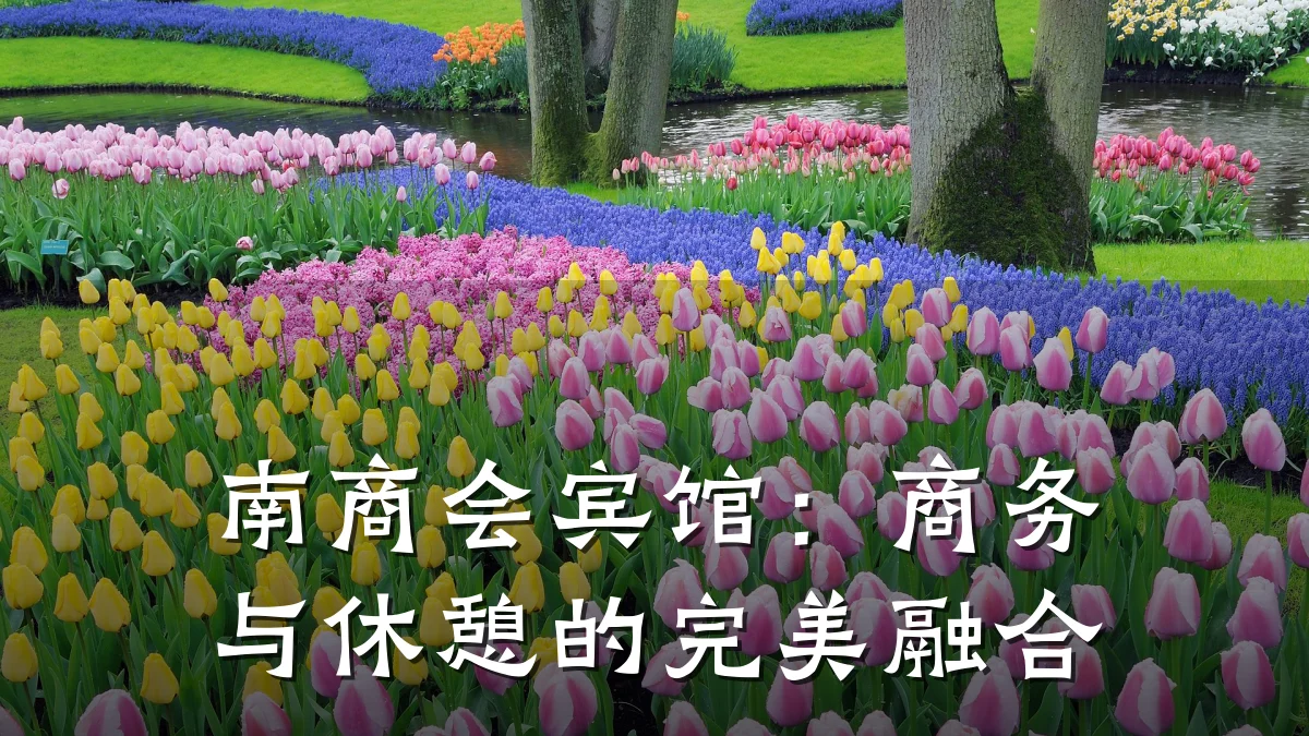 南商会宾馆：商务与休憩的完美融合