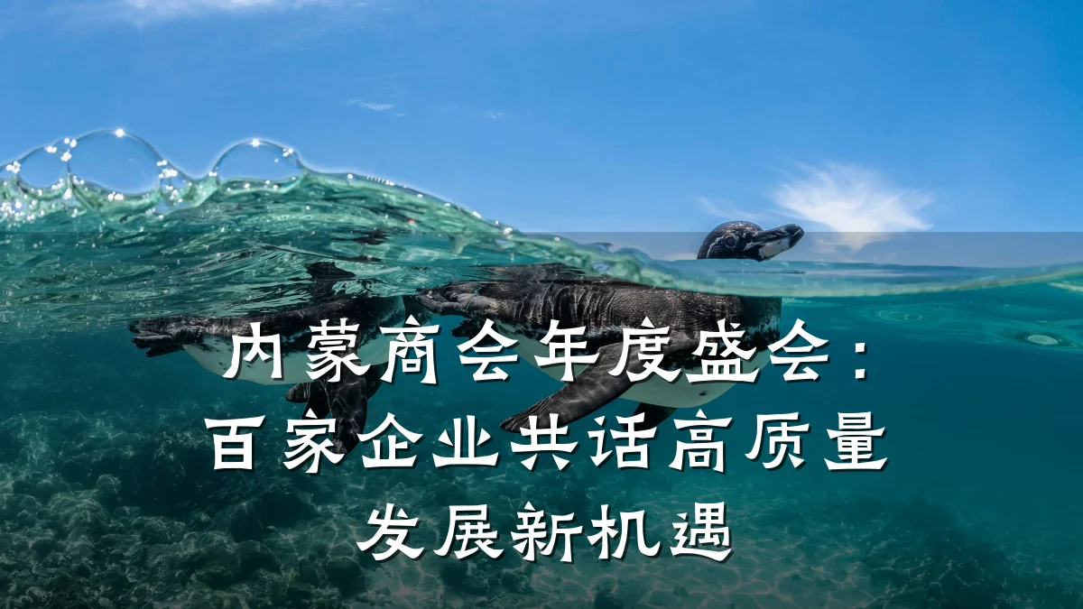 内蒙商会年度盛会:百家企业共话高质量发展新机遇