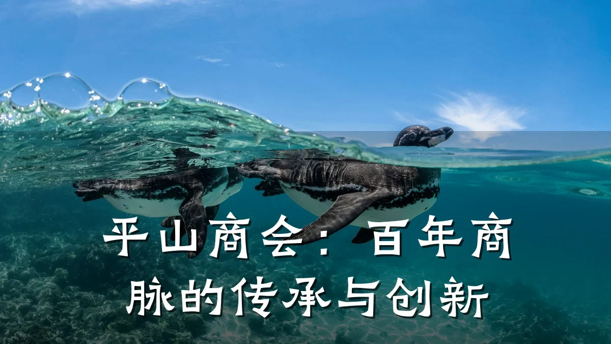 平山商会:百年商脉的传承与创新
