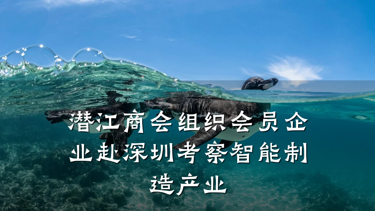 潜江商会组织会员企业赴深圳考察智能制造产业