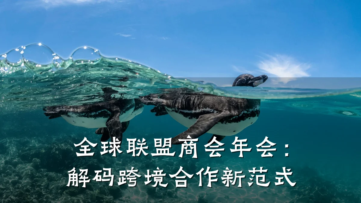全球联盟商会年会：解码跨境合作新范式