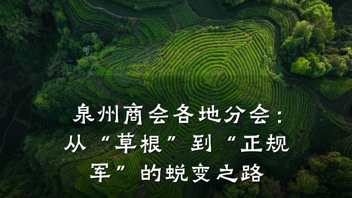 泉州商会各地分会:从“草根”到“正规军”的蜕变之路