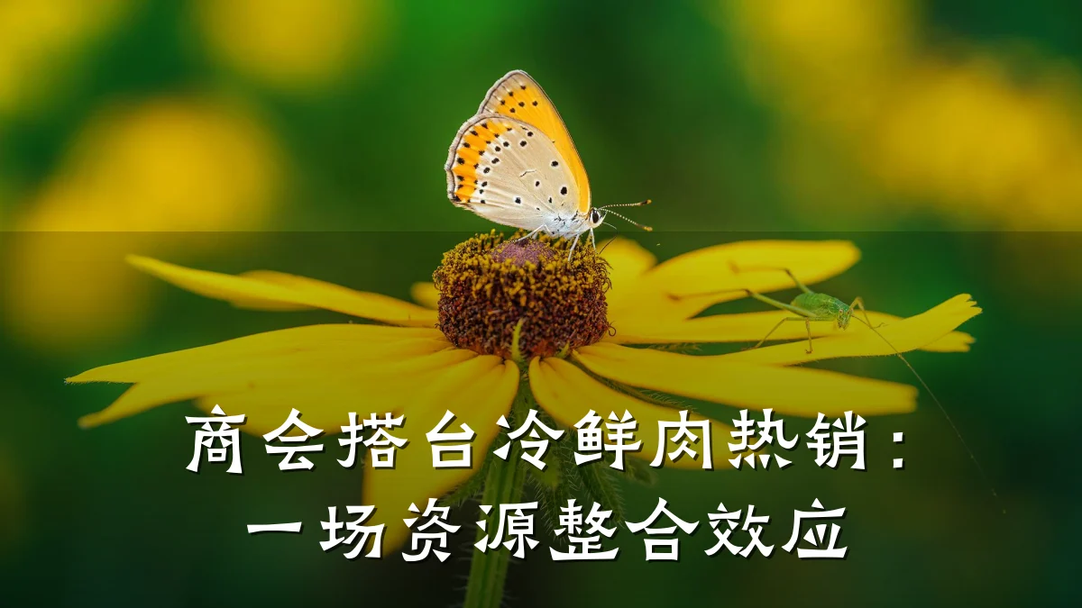 商会搭台冷鲜肉热销:一场资源整合效应