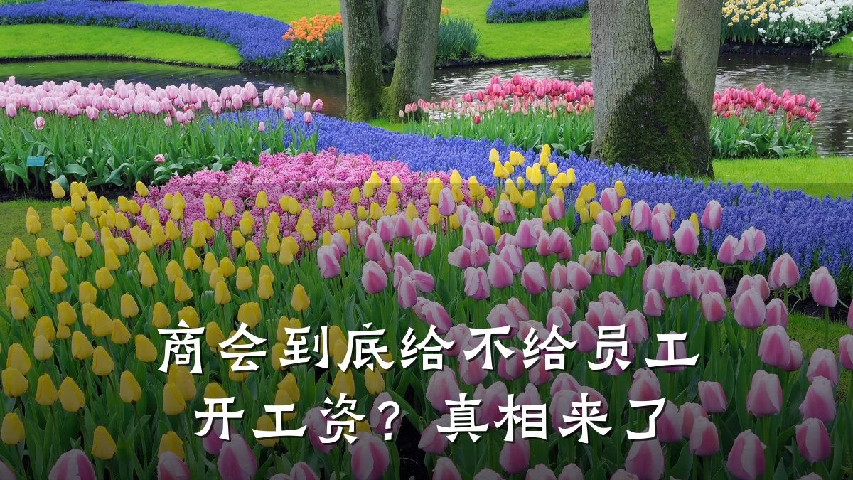 商会到底给不给员工开工资?真相来了