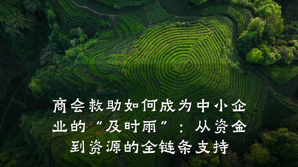商会救助如何成为中小企业的“及时雨”:从资金到资源的全链条支持