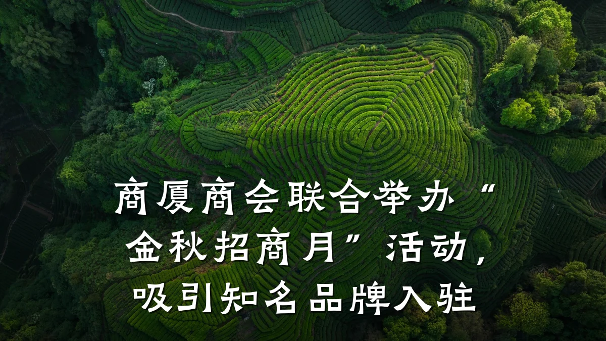 商厦商会联合举办“金秋招商月”活动,吸引知名品牌入驻