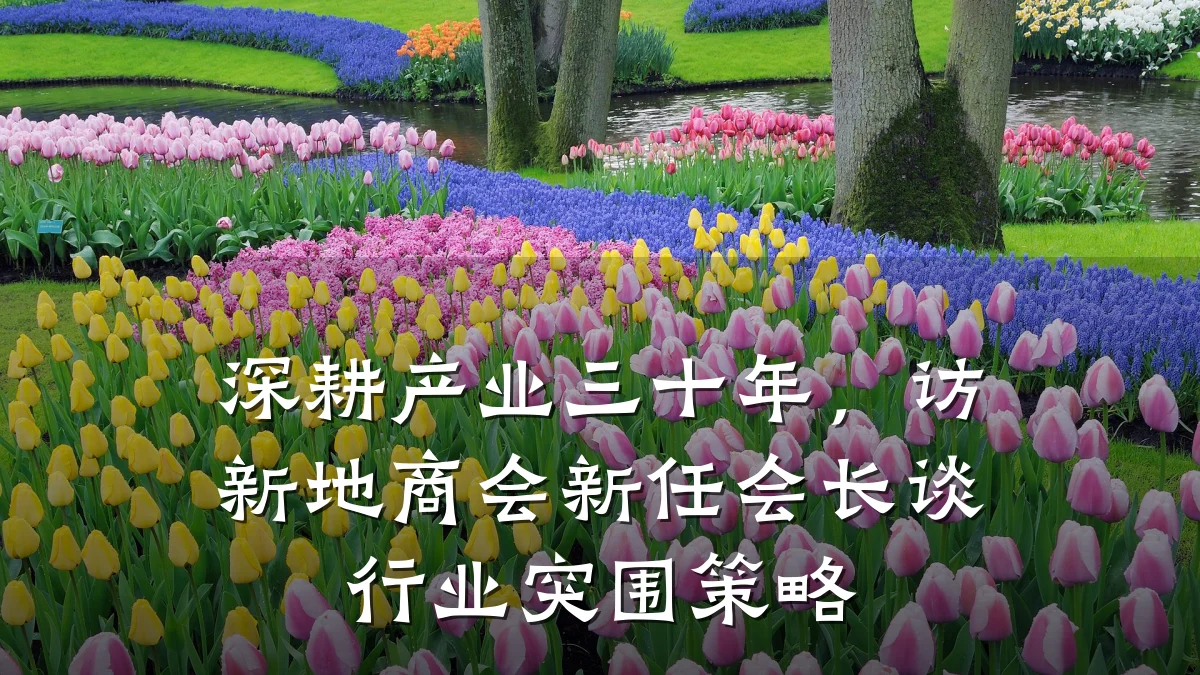深耕产业三十年,访新地商会新任会长谈行业突围策略