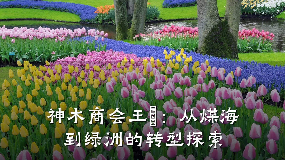神木商会王溦:从煤海到绿洲的转型探索
