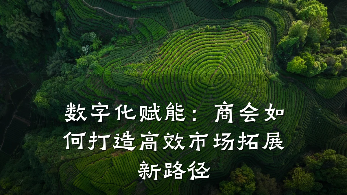 数字化赋能:商会如何打造高效市场拓展新路径