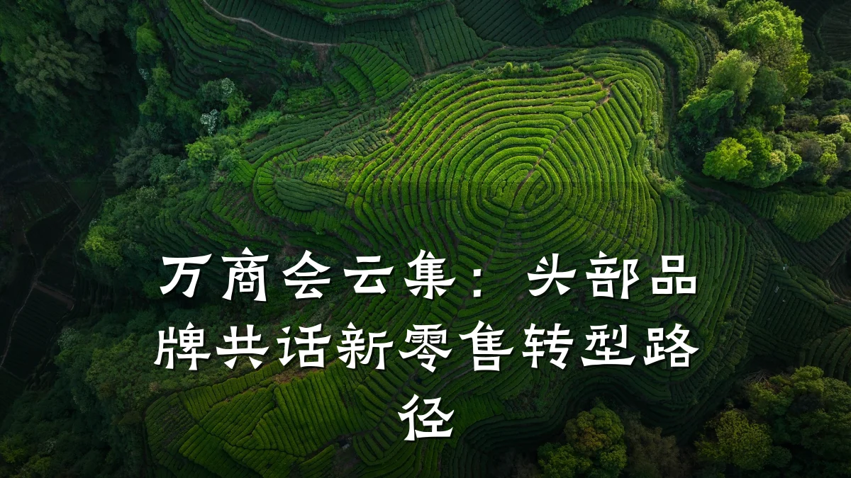 万商会云集:头部品牌共话新零售转型路径